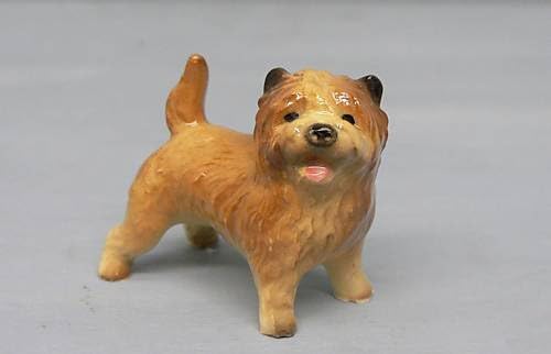 red cairn terrier
