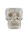 Human Skull Novelty Coffee Mug - Diabolical Bonehead Cup Ceramic 16 oz. Pacific Trading