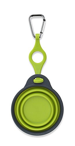 Dexas Popware for Pets Travel Pet Cup with Bottle Holder and Carabiner, Gray/Green