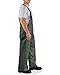 Carhartt Men's Surrey Bib Overall, Green, Large
