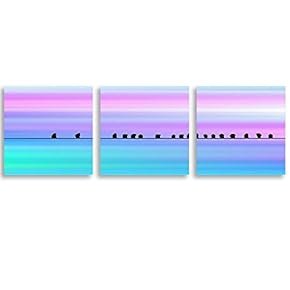 3 Piece Canvas Wall Art Brids Painting...