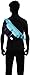 Herschel Supply Co. Eighteen Hip Pack
