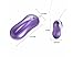 Simple Series 10 Frequency Remote Control Bullet Egg Vibrator Female/Women Adult Sex Toy (Purple)