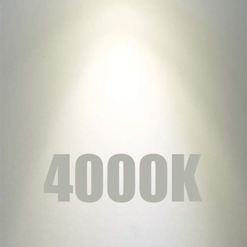 T10 Led Tube Bulb, 8W Dimmable Led Tubular Bulbs,80-100Watt Incandescent Bulb Equivalent, 4000K Daylight,900lm,Clear Glass, E26 Base Lamp Edison Bulb, for Cabinet Display Cabinet etc,No Flicker,3 Pack