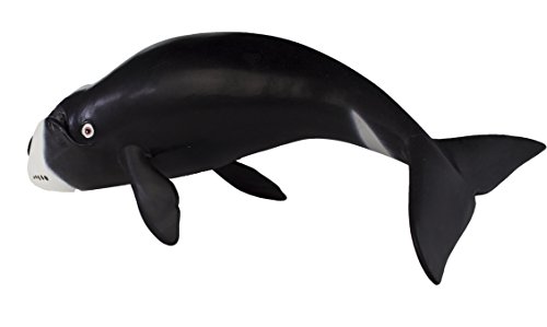 Bowhead Whale
