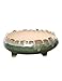 Dahlia 8.3'' Inch Large Shallow Drip Glazed Ceramic Planter/Succulent Pot/Plant Pot, Green