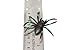 U.S. Toy Painted Spiders : Package of 12, Black