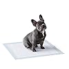 Amazon-Basics-Pet-Training-Pads-Regular Amazon Basics Dog and Puppy Training Pads, Leakproof, 5-Layer Design with Quick-Dry Surface, Regular, Pack of 50