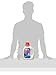 Persil ProClean Power Pearls-Powder Laundry Detergent, Original Scent, 44 Ounces, 37 Loads