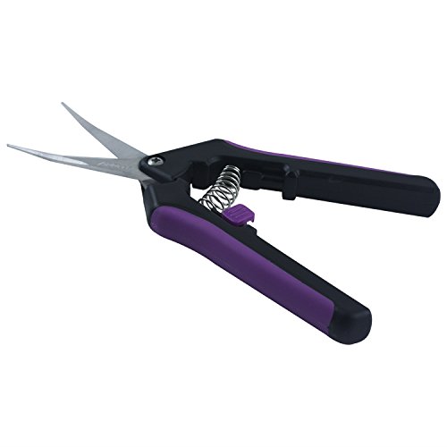 Apollo Horticulture Precision Curved Blade Pruner Shears for Gardening
