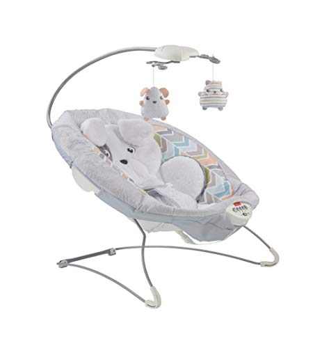 fisher price puppy chair
