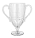 PlayStation Trophy Glass