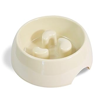 Martha Stewart Slow Feeder Pet Bowl Ivory 15 6 Fl Oz Amazon