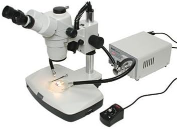 Stellar Scientific - Motic SMZ-161-BL(R2GG) Stereo (Dissecting) Microscope