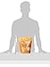 Sojos Pre-Mix Original Natural Dry Raw Freeze Dried Dog Food, 2.5-Pound Bag