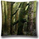 AM Kingdom Home Decor Cotton &amp; Polyester Throw Pillow Cushion Covers Bed and Couch Old Forest Covered in Moss Pillowcase 18" x 18" Inch (45x45 Cm)