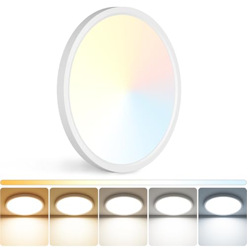 Peasur LED Ceiling Light 3000K/3500K/4000K/5000K/6500K
