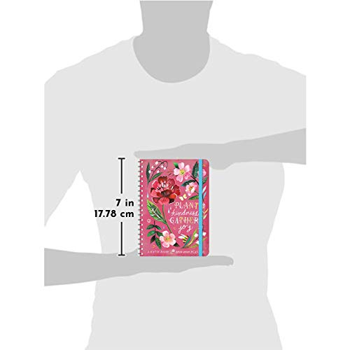 Katie Daisy 2019 - 2020 On-the-Go Weekly Planner: 17-Month Calendar with Pocket (Aug 2019 - Dec 2020, 5" x 7" closed)