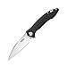 GANZO Firebird FH51 Pocket Folding Knife G10 Handle with Clip D2 Steel Blade Hunting Fishing Camping Outdoor EDC Knife (Black)