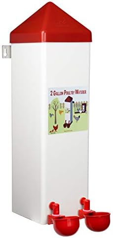 RentACoop Twin Cup Chicken Waterer