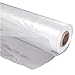 A&A Green Store Greenhouse Plastic 4 Year 6 mil UV Resistant Clear Polyethylene Film (20' x 40')