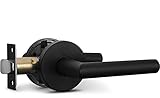 Berlin Modisch Passage Lever Door Handle Sleek