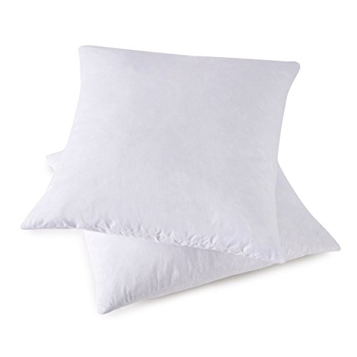 HOMESJUN Set of 2, Feather and Down Square Decorative Throw Pillow Insert, 100percent Cotton,White,20x20