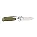 Ganzo G7522 Folding Bowie Hunting Pocket EDC Handle Knife (Green)