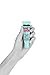 Maybelline Baby Skin Instant Pore Eraser Primer, Clear, 0.67 Fl Oz (Pack of 3)