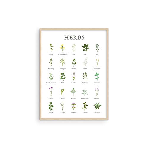 Herb Pictures for Kitchen Wall Art by Haus and Hues Kitchen Herbs
