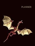 Planner: Dragon 1 Year Daily Planner (12 Months) | 2020 - 2021 | 365 Pages for Planning | January 20 by TWENTYTWENTY DAYPLANNERS