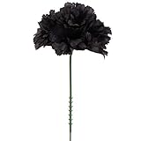 Larksilk Black 3.5