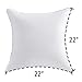 Oubonun 22 x 22 Throw Pillow Inserts (Set of 2) with 100% Cotton Cover - 22 Inch Square Interior Sofa Decorative Pillow Insert Pair - White Couch Pillow