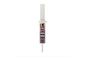 Pet Prebiotic + Probiotic Paste - Supports Digestion, Immunity, Coat Health, and Performance - 30 mL