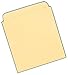 Library Card Pockets, 100-Count