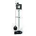 WaterAce WA50CPED Pedestal Pump, Black