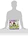Shrinky Dinks Shrink A Saurus Play Set
