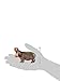 SCHLEICH Hippopotamus Toy Figure