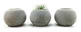 ORB Concrete Succulent Planters / Air Plant Holders. (Set of 3) Natural Gray.