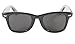 Pacific Coast Blues Brothers Glasses (Black Frame/Smoke Lens)