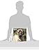 Mastiff Calendar - Breed Specific Mastiff Calendar - 2016 Wall calendars - Dog Calendars - Monthly Wall Calendar by Avonside