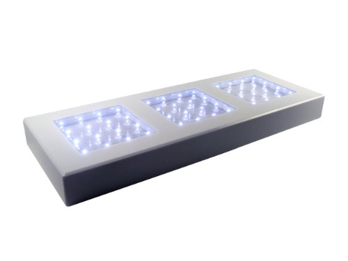 Fortune Products LB-513W Rectangular Light Base with White LEDs, 13" Length x 5" Width x 1-1/4" Height