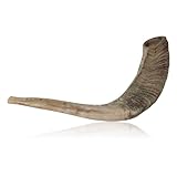 Traditional Kosher Natural Finish Ram’s Horn Shofar