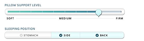 classic too down dreams