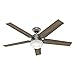 Hunter Fan 54 inch Contemporary Matte Silver Indoor Ceiling Fan with Light Kit and Remote Control (Renewed)
