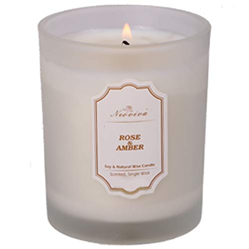 NEOVIVA HOME Scented Candles with Rose & Amber with 100% Natural Essential Oils Aromatherapy Candle Soy Wax for Stress Relief and Aromatherapy Quality Gift 5.6 Ounce (White, Medium)