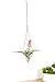 Mkono Himmeli Air Plant Holder with Chain and Macrame Hanger Mobiles Decor