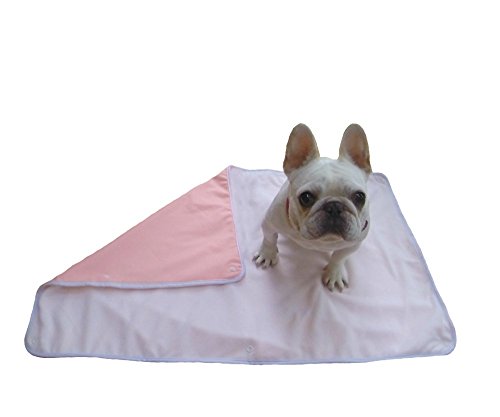 dog incontinence blanket