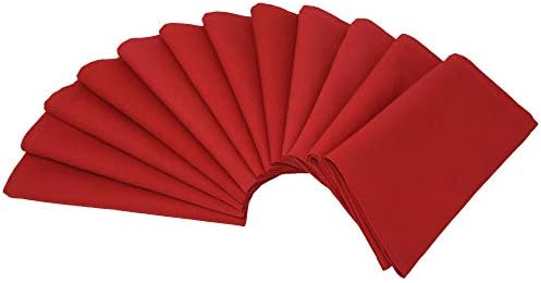 Aunti Em'S Kitchen Dinner Napkins Cloth, Extra Large 20X20 Inches, 12-Pack Bulk, White Cotton Linen (784672581028)
