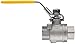 Merit Brass Stainless Steel 316 Ball Valve, Two Piece, Full Port, Lever, 1